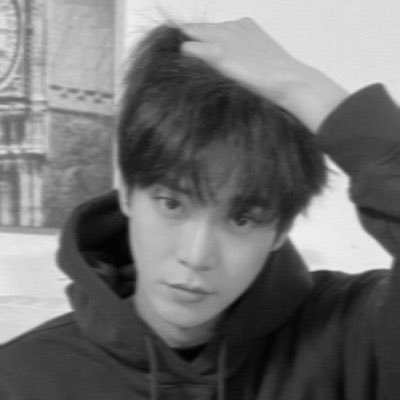 ❍ diary from pictures.