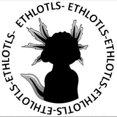 Axolotls have joined the Ethereum Blockchain. Ethlotls is a collection of 10,000 randomly generated NFTs.