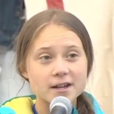 Greta Thunberg reminds you that today is friday