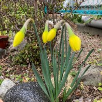 秋久潤 (@junakihisa) 's Twitter Profile