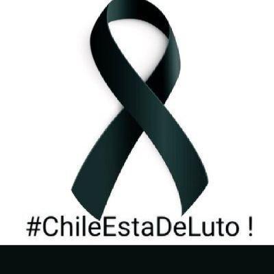 Jimena58191545's profile picture. 