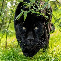 Just L. (@ananke02) 's Twitter Profile