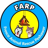 Fresco Animal Rescue & Shelter (@frescoshelter) 's Twitter Profile Photo Fresco Animal Rescue & Shelter (@frescoshelter) 's Twitter Profile Photo