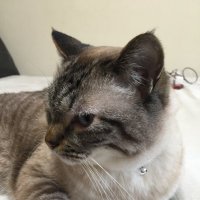 ビンセント (@dpfib6cm76fhefc) 's Twitter Profile