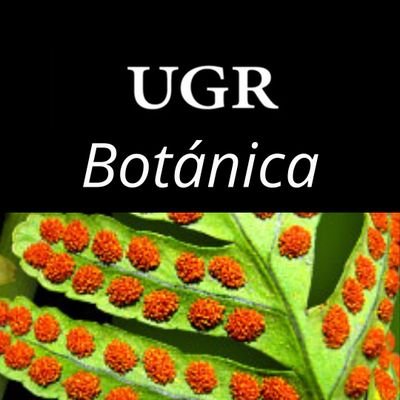 Cuenta oficial del Departamento de Botánica de @CanalUGR.
¡Síguenos también en Instagram!