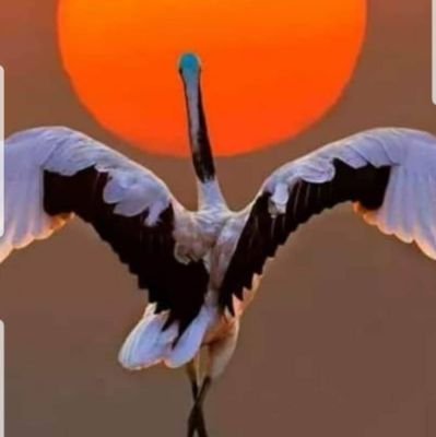 atli1972m avatar
