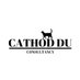 Cathod Du (@cathodduconsult) Twitter profile photo Cathod Du (@cathodduconsult) Twitter profile photo