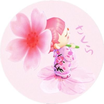 Sakuraさんのプロフィール画像