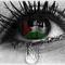 ‏‏من كان يملك درة فأضاعها**** صدأت بيديه تيجان الذهب