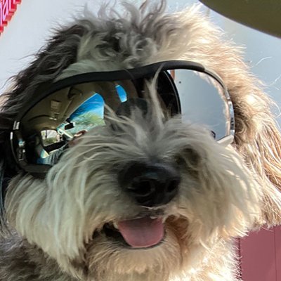 DigitalSharts's profile picture. Digital Artist – Graphic Designer: Follow me on the gram @DigitalSharts