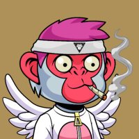 Bibo28 (@bibo28v) 's Twitter Profile