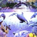 Ana Rosa Baron Lopez - @AnaRosabl - Twitter