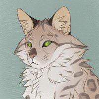 Tomoko (@tomokonoko3) 's Twitter Profile
