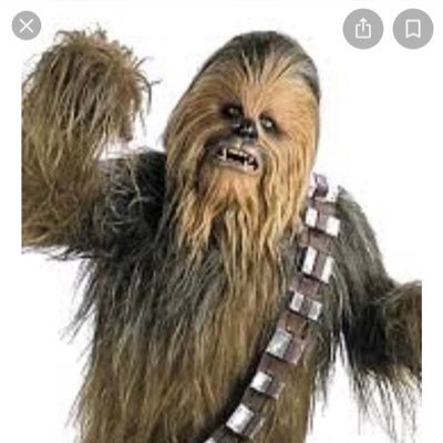 Ballgameharry's profile picture. Guru / PTT - that is all.