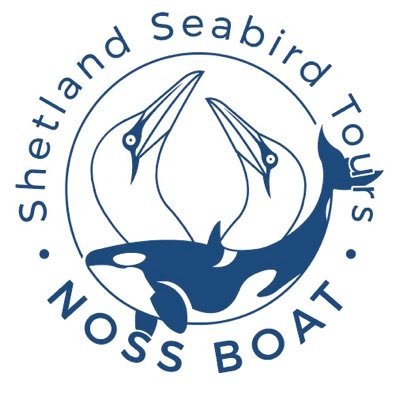 Daily Shetland Wildlife, Seabird, Seal & Photo Boat Tours to Noss from Lerwick. Experience a real ‘gannets eye view’with the No.1 carbon neutral Noss boat!