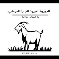 الجزيرة العربية لتجارة المواشي(@Arabianisland11) 's Twitter Profile Photo