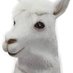 @Alpacabu