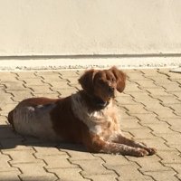 Jean Louis Gianluigi R. (@hardicevenol) 's Twitter Profile