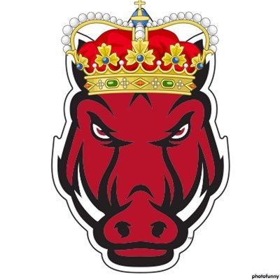 RazorbackRoyal Profile Picture