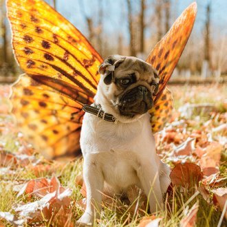 CryptoDragon01's profile picture. Working in Crypto since 2018 my bags are packed
$CARI $GRT $NU $FRM $FRMX $ZOO and of course $BTC $ETH