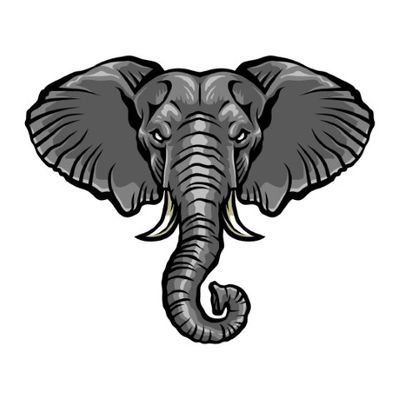 Head Elephant