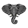 HeadElephant_42's profile picture. 2 week free trial at the link below, come join the fun!