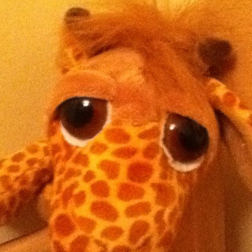 thebigchief670's profile picture. 