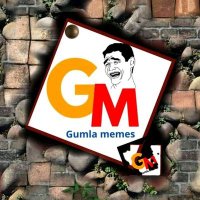 Gumla memes(@gumlamemes) 's Twitter Profile Photo