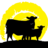 SunFedBeefNYC's profile image