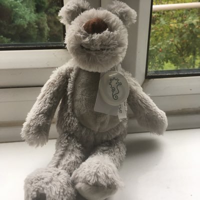 Animal lover wants war to stop and more compassion in the world I m a new grandma and wants a better world for my new granddaughter and to be in https://t.co/J4gG4aV1Ce DM s