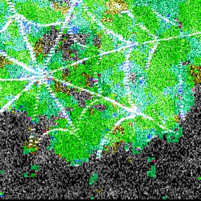 stranger2them's profile picture. Lay00ver