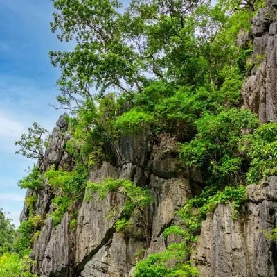 hornyChubby2217's profile picture. 