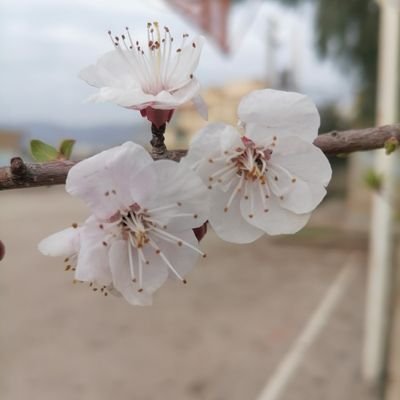 سرگردان بین گذشته وآینده وبه دنبال انتخاب مسیری درست برای داشتن درکی بهتر ازجهانی که ما ازآن عبورمیکنیم چراامدیم چرازندگی میکنیم البته چقدرجای خوشحالیست میرویم