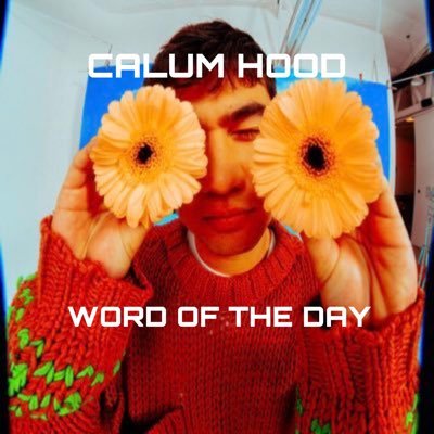 please dm for word requests! : not affiliated with @Calum5SOS