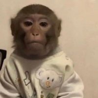 pep nips (@pepperonin1ps) 's Twitter Profile Photo