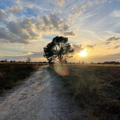 EllenMensink's profile picture. Sustainable innovation from concept to realisation; sustainable food, circular fashion and energy. Founder Createtoday, Creative City Lab,