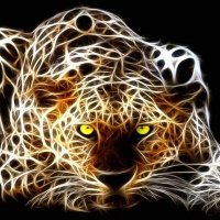 الفهد صيد القلوب (@ksafarida) Twitter profile photo