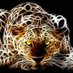 الفهد صيد القلوب (@ksafarida) Twitter profile photo الفهد صيد القلوب (@ksafarida) Twitter profile photo