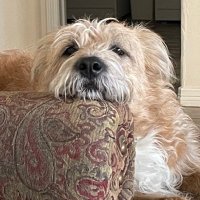 Kem (@kem98274110) 's Twitter Profile