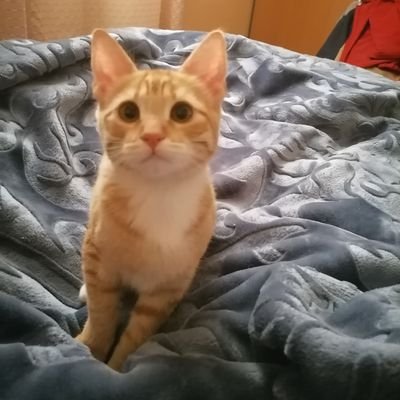 ricc2014's profile picture. Amo mi Familia Hermosa :) #YoApruebo