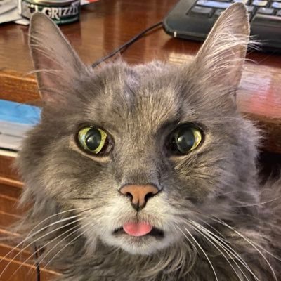 Mohician77's profile picture. Garbage Man.  Dirt shoveling.  Leaf Raker.None of my tweets are financial advise but are my own personal opinions. If I can share any useful information I will.