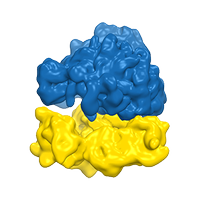 Ribosomes 2022 (@2022ribosomes) 's Twitter Profile