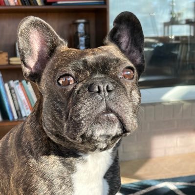 Beadecenthuman1's profile picture. Kansas born.  Proud momma, mediocre housekeeper, advocate for the disabled.