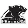 Decatur Eisenhower Athletics (@decatur_school) 's Twitter Profile