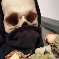 Erik van Stojve (@erikvanstojve) 's Twitter Profile