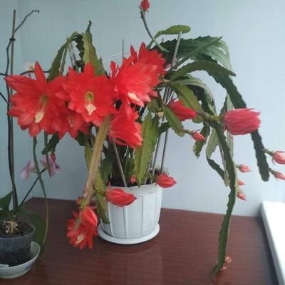 Karp271's profile picture. 