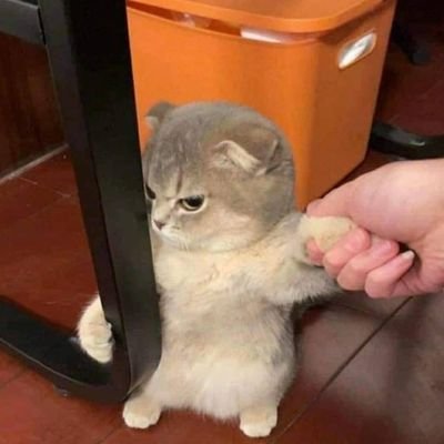 AlexSampayo5's profile picture. 