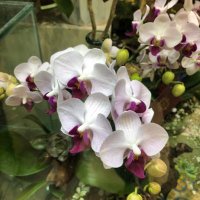 LHT sourcing (@tuanhoang88) 's Twitter Profile