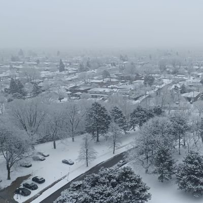SSGrover's profile picture. Proud Indian 🇮🇳, resident of Canada 🇨🇦 with an eye on everything in the world!