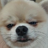 김낼름 (@thx_214) 's Twitter Profile